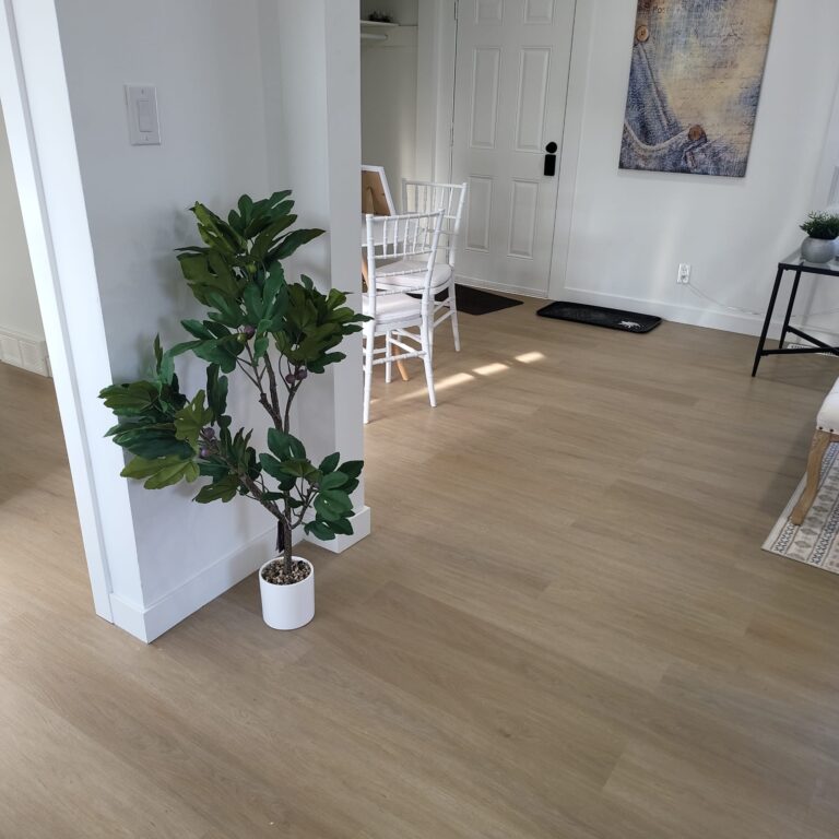 WhatsApp Image 2026-01-09 at 1.49.39 PM